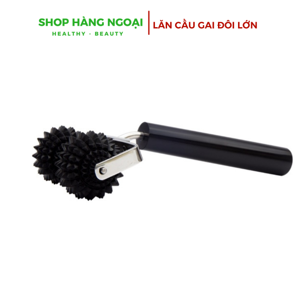 Lăn cầu gai đôi lớn Diện Chẩn